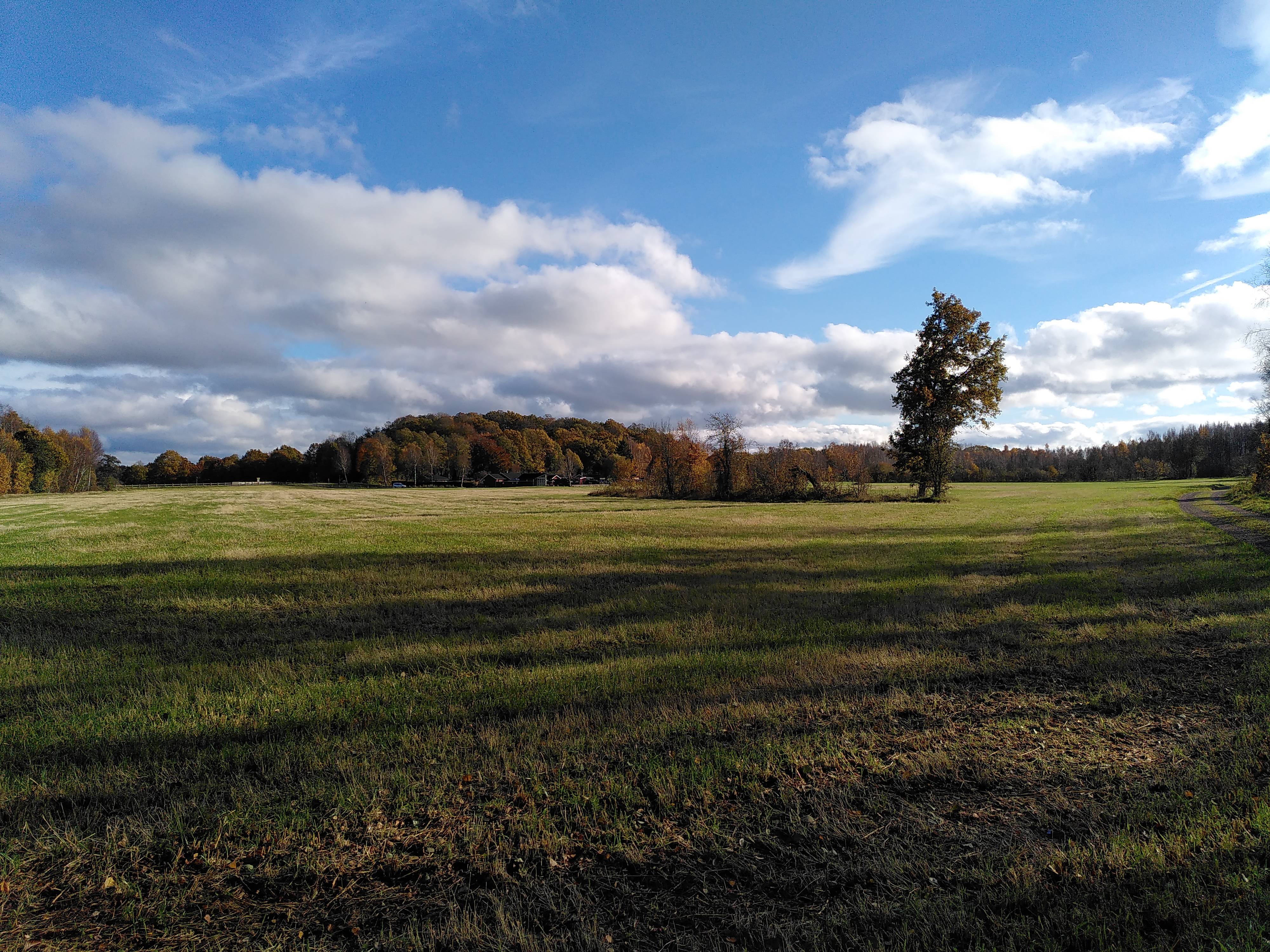 A flat green field with some trees and shadows. Huge white clouds in a blue sky.